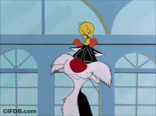 Sylvester And Tweety From The Looney Tunes Cartoon GIF