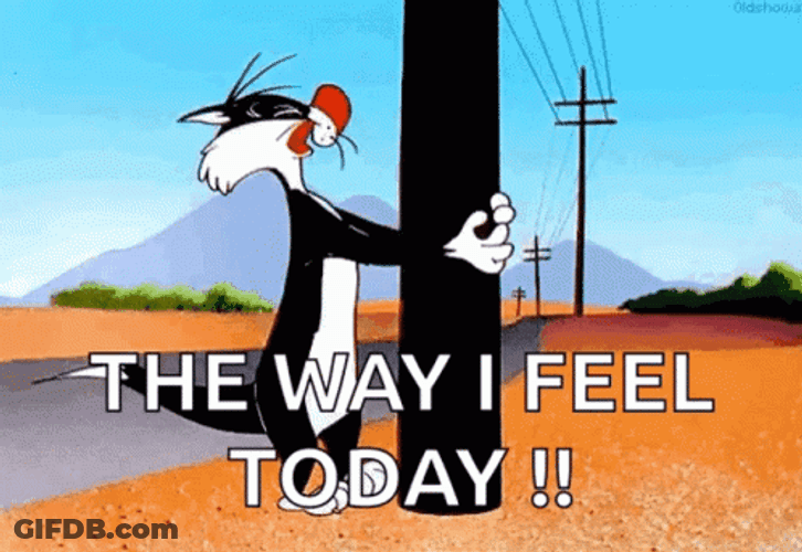Sylvester Bad Feeling Banging Head Against Wall GIF
