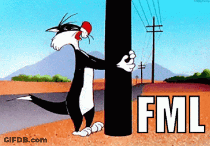 Sylvester Bugs Bunny Banging Head Against Wall GIF