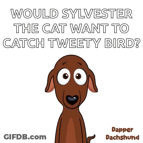 Sylvester Cat Chasing Tweety Bird GIF