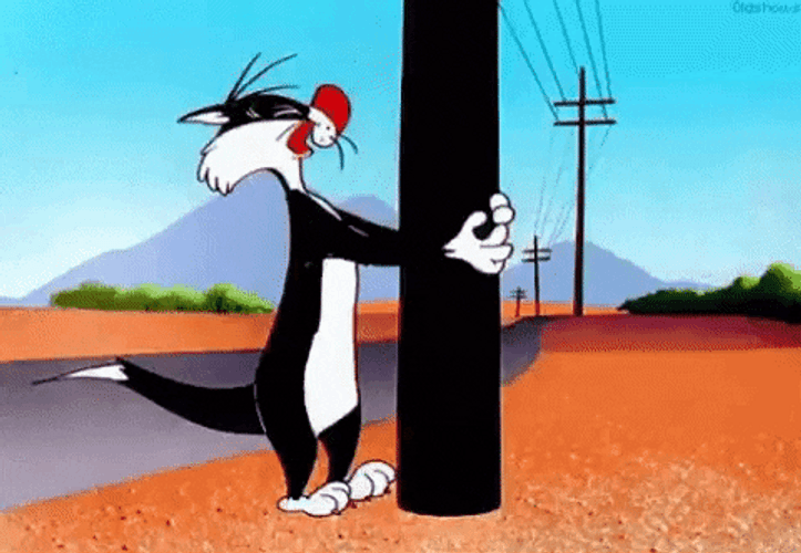 Sylvester Cat Hitting Head On Post GIF