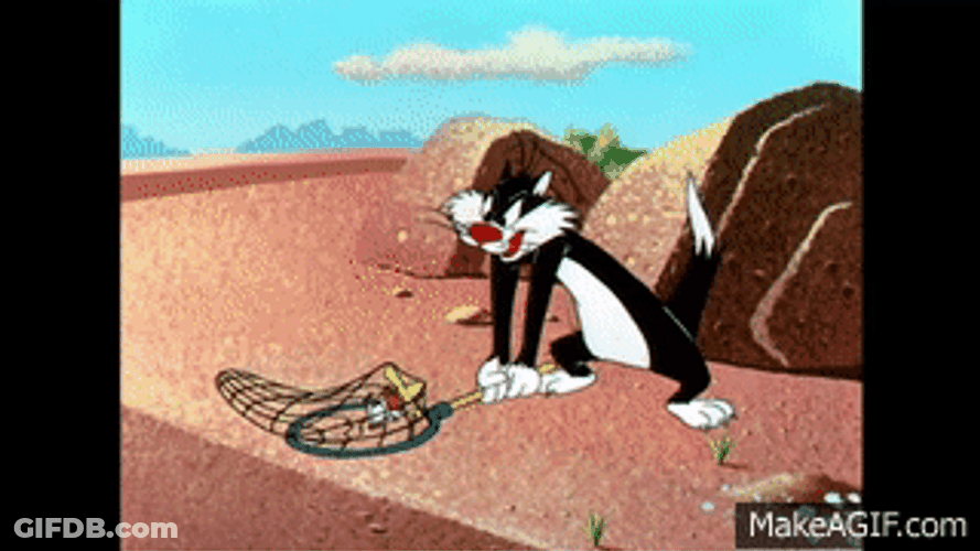Sylvester Got Dragged By Speedy Gonzales GIF