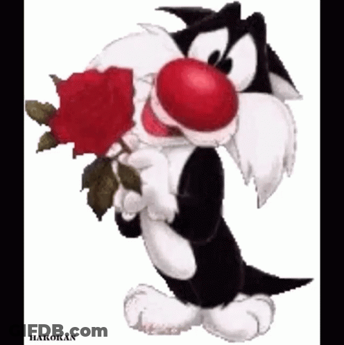 Sylvester Holding Red Rose GIF