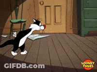 Sylvester Standing On Wooden Floor GIF