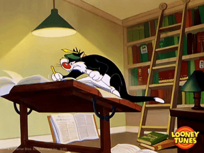 Sylvester The Cat Study Hard At Night GIF