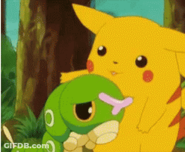 Sympathy Comfort Pikachu Caterpie GIF
