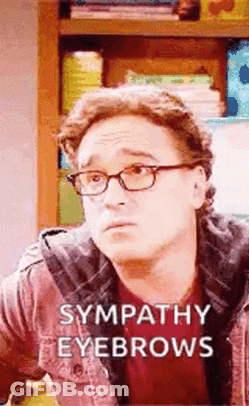 Sympathy Eyebrows Leonard TBBT GIF