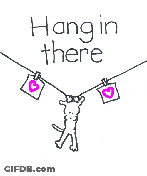 Sympathy Hang In There Chippy GIF