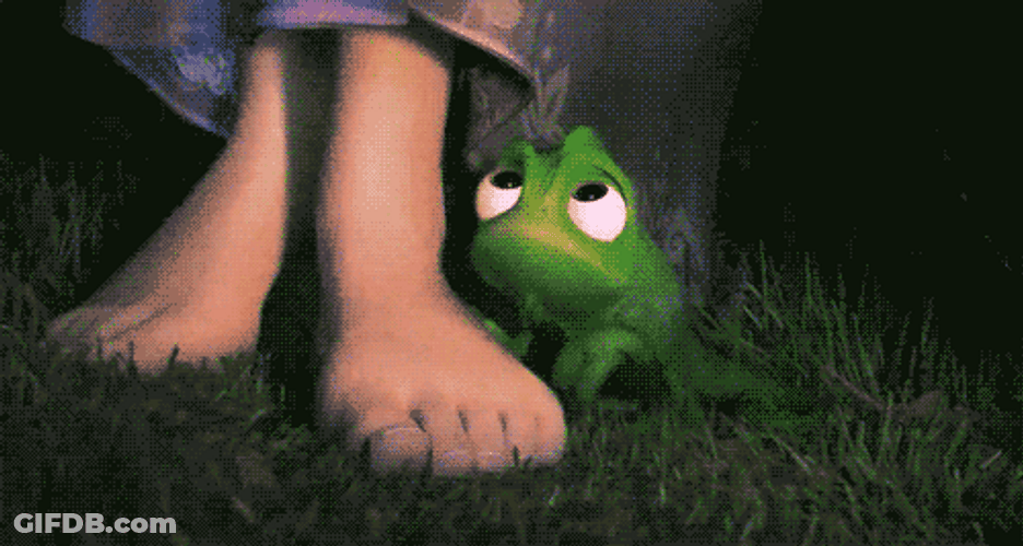 Sympathy Pascal Disney Tangled GIF