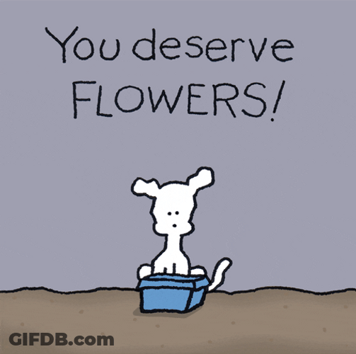 Sympathy You Deserve Flowers GIF