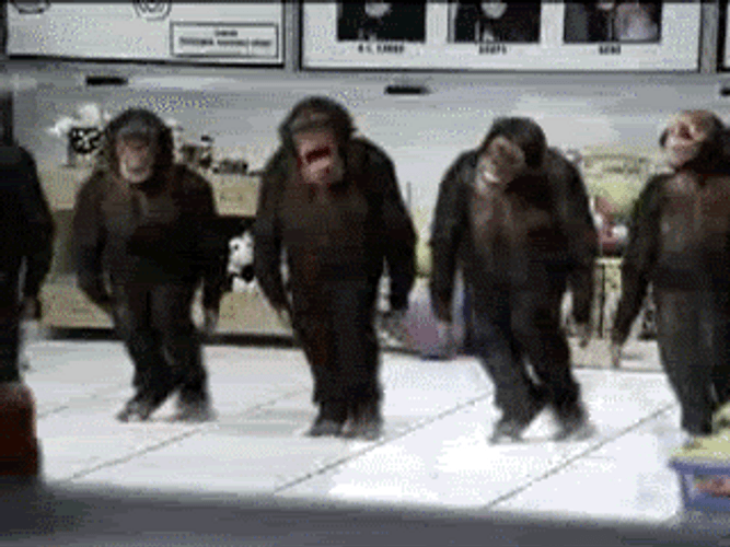Synchronized Monkey Dance Group GIF