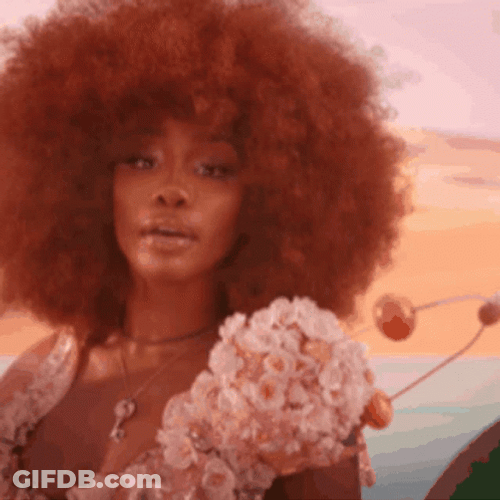 Sza Amazing Ginger Afro Pose GIF