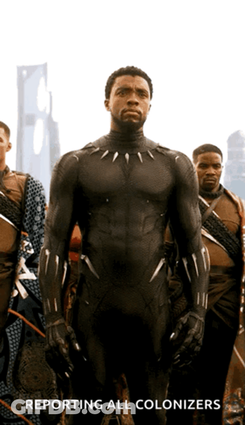 T'Challa Wakanda Forever GIF