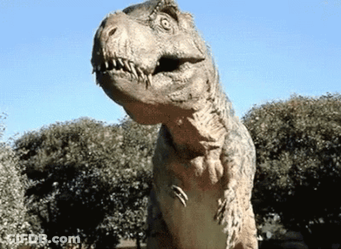 T-Rex Nagosaurus Dinosaur GIF