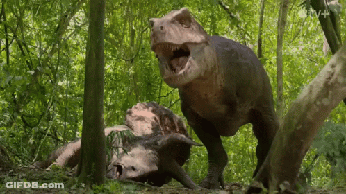 T-Rex Standing Next To Triceratops With Mouth Open GIF