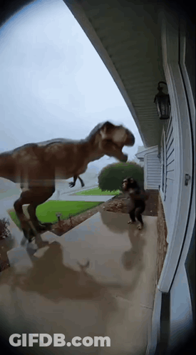 T-Rex Standing On Porch Next To Dog GIF
