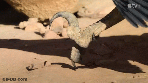 T-Rex Walking In The Dark Saying The Killer GIF