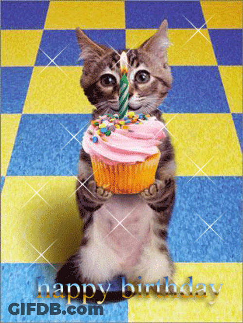 Tabby Birthday Cat Holding Cupcake GIF