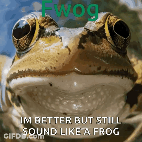 Table Of Breakfast Food GIF