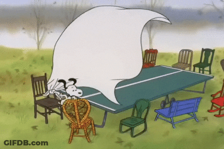 Table Preparation Peanuts Snoopy Thanksgiving GIF