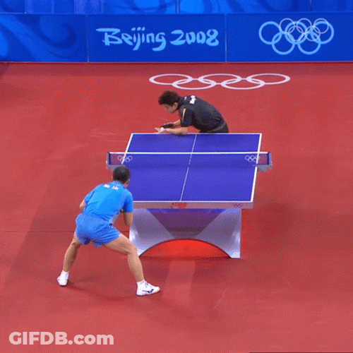Table Tennis Fast Paced Fun GIF
