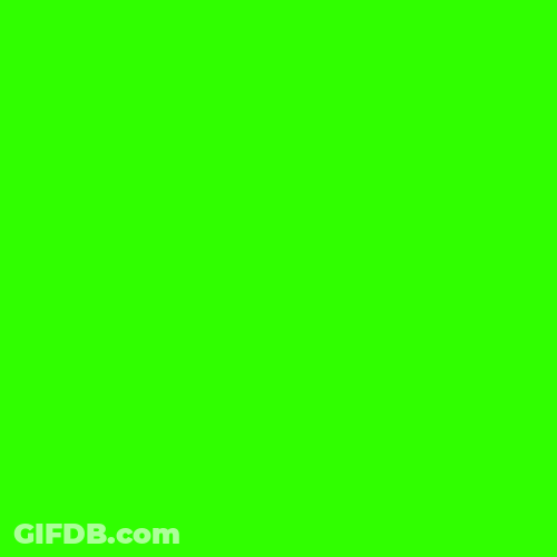 Table Tennis Racket Bouncing Ball Green Background GIF