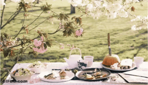 Table With Plates Of Food And Teapot With Flowers GIF