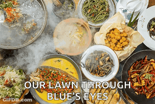 Table With Plates Of Food Saying Our Lawn Through Blue's Eyes GIF