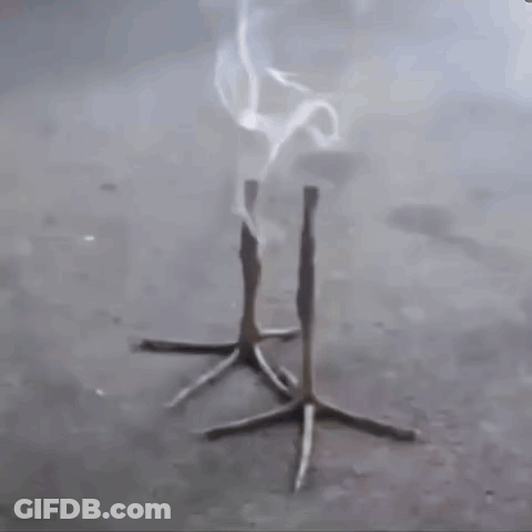 Table With Smoke And Bird Feet GIF