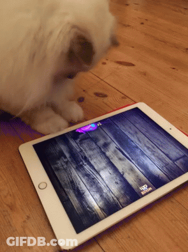 Tablet With Wooden Floor And VR Show GIF