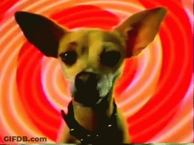 Taco Bell GIF