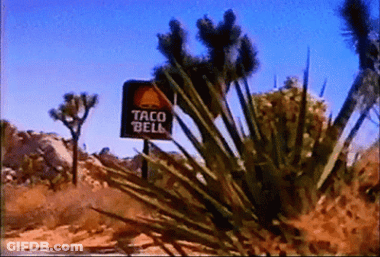 Taco Bell Signage GIF