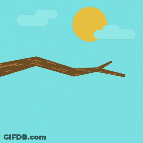 Taco Bug Caterpillar GIF