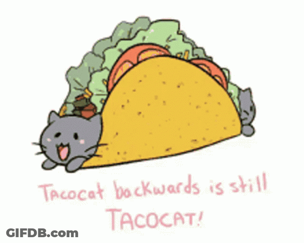 Taco Cat Backwards Is Still Tacocat GIF