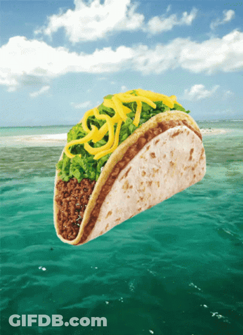 Taco In The Ocean GIF