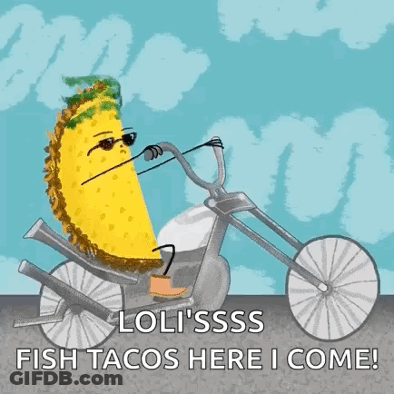 Taco Riding Motorcycle With Sunglasses GIF