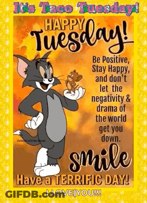 Taco Tuesday Happy Tuesday GIF