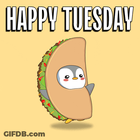 Taco With Penguin Inside Saying Happy Tuesday GIF