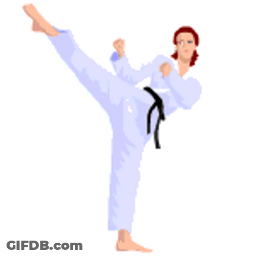 Taekwondo Karate Kick GIF