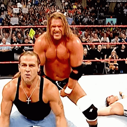 Tag Team Shawn Michaels Paul Levesque GIF