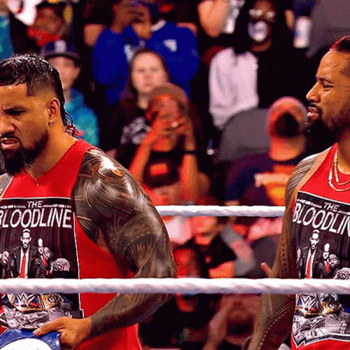 Tag Team The Usos WWE Champions GIF
