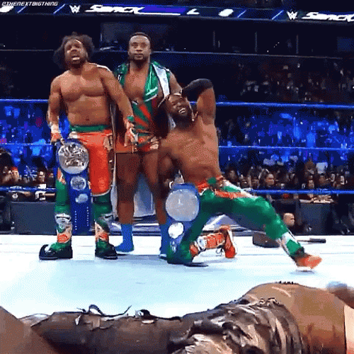 Tag Team Winners Celebrating WWE Smackdown GIF