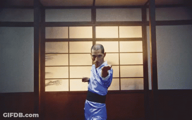 Tai Chi Kung Fu GIF