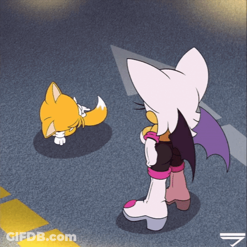 Tails And Rouge Standing Next To Each Other On Street GIF