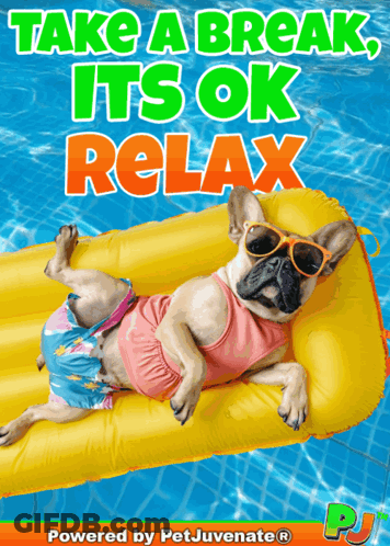 Take A Break Dog Poster GIF
