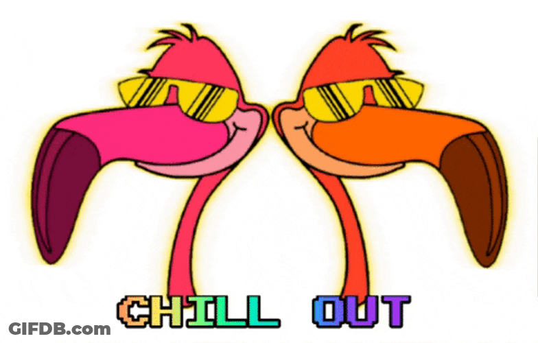 Take A Break Flamingos Wearing Sunglasses GIF