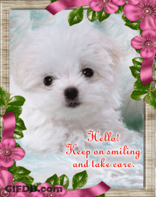 Take Care Keep On Smiling Puppy GIF