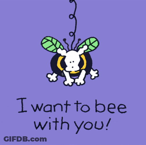 Take Me Now GIF