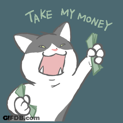 Take My Money Cute Cat GIF