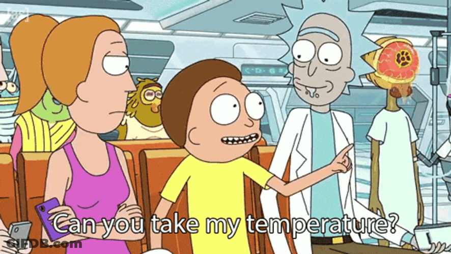 Take My Temperature Rick Morty Summer GIF